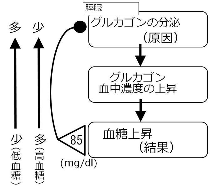ファイル:00749.jpg