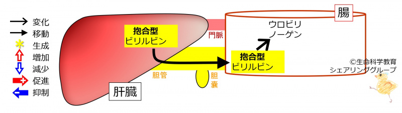 ファイル:01137.jpg