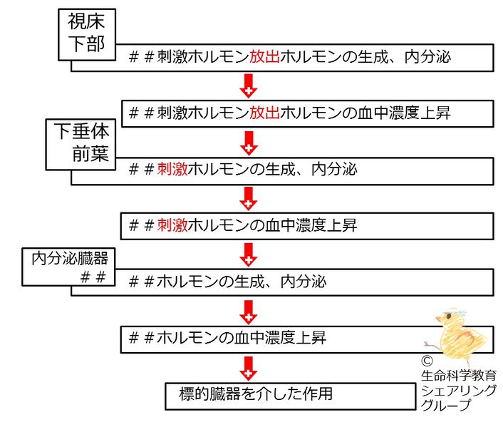 ファイル:04628.jpg