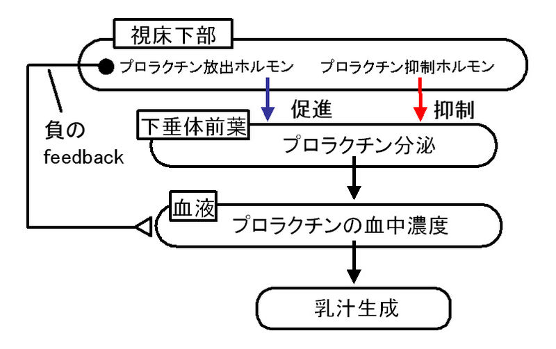 ファイル:00834.jpg