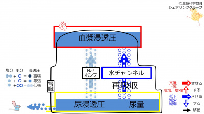 6-decChannel-effect1.jpg