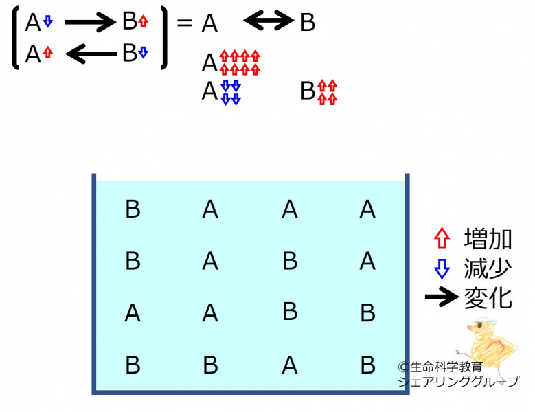 ファイル:ChemicalEquilibriumChangesByIncInMolA-3-wb.jpg