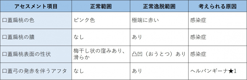 ファイル:表-口-視診3-口蓋・咽頭の観察.jpg