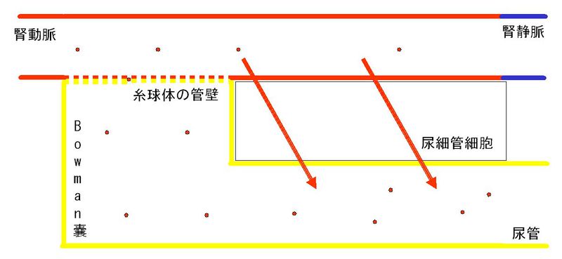 ファイル:00328.jpg