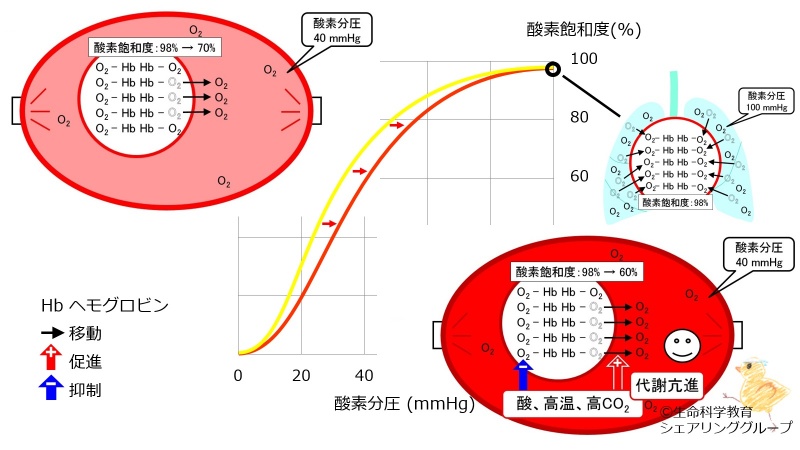 ファイル:03307.jpg