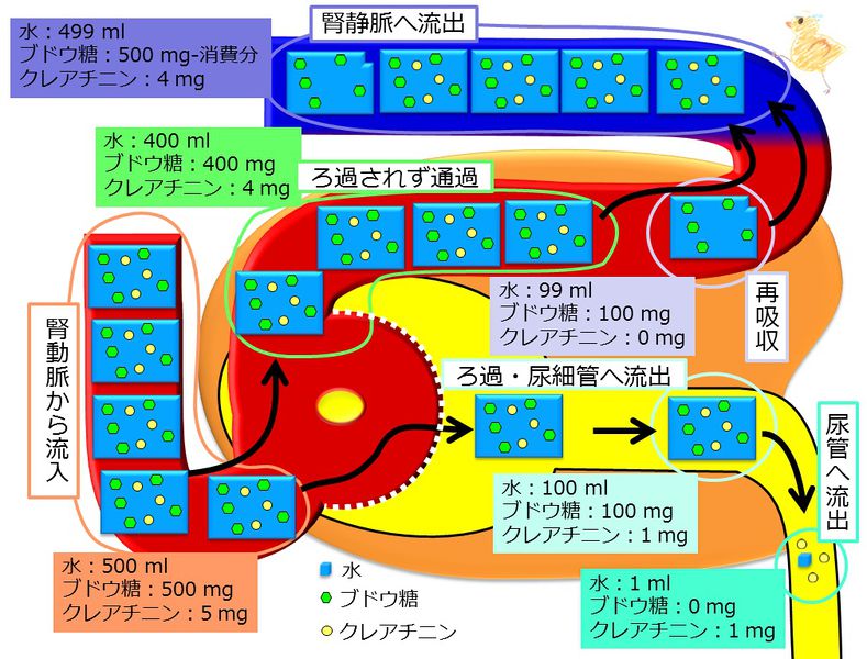 ファイル:04299.jpg