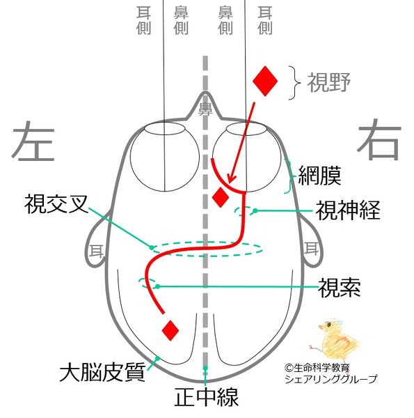ファイル:00727.jpg