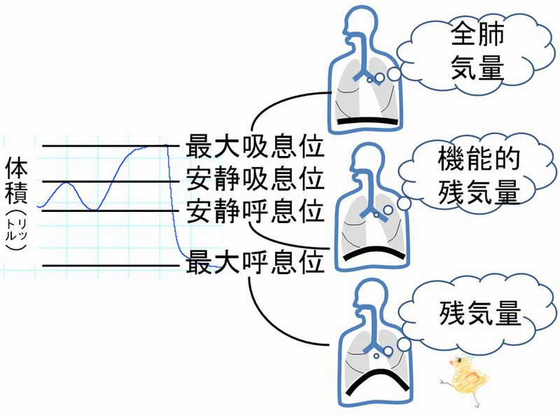 ファイル:03263.jpg