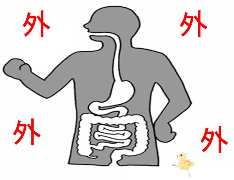 ファイル:03751.jpg