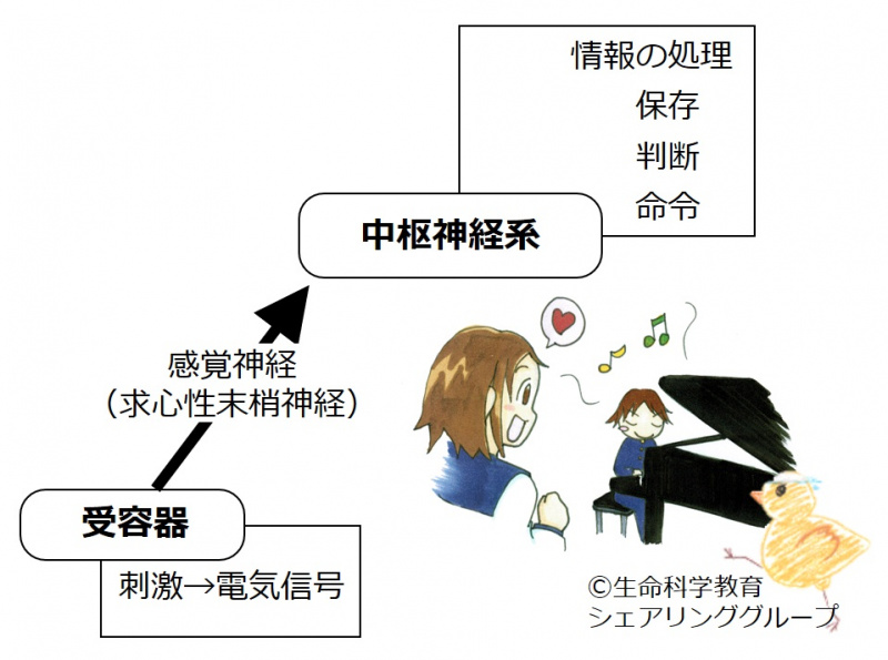 ファイル:03781.jpg