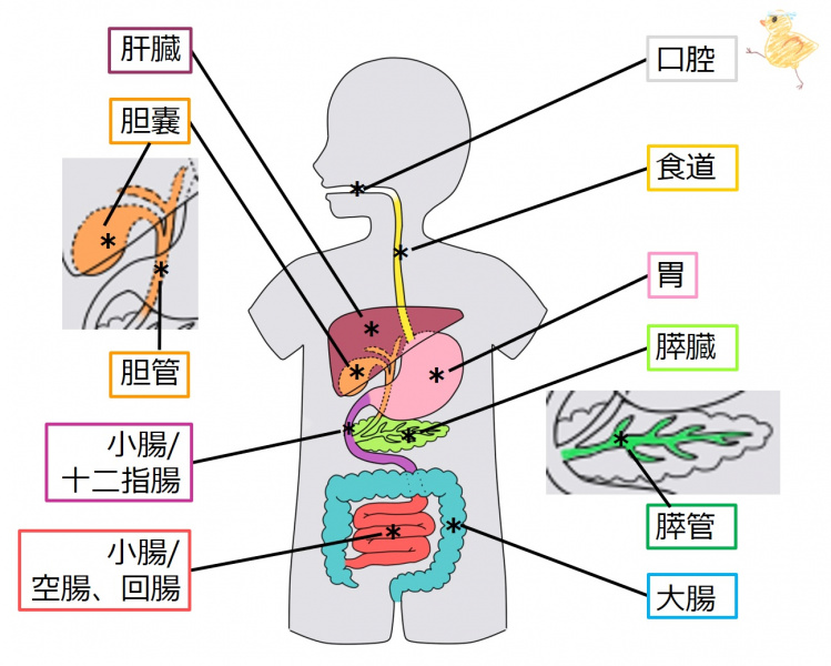 ファイル:03971.jpg