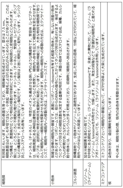 ファイル:細胞内小器官まとめ表-wb.jpg
