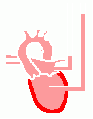 00444.gif