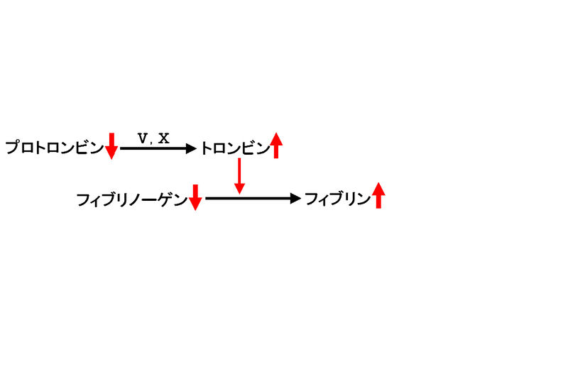 ファイル:00535.jpg