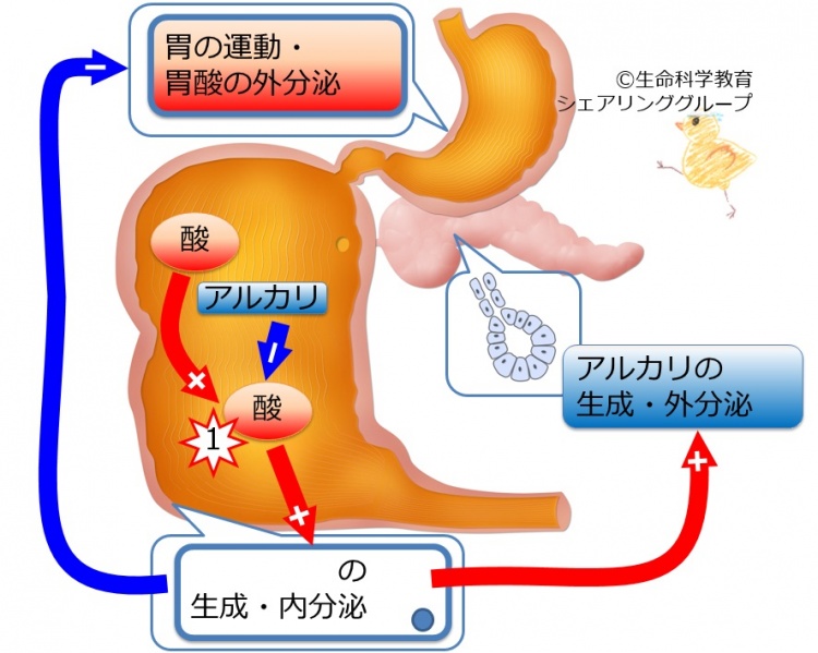 ファイル:03416-wb.jpg