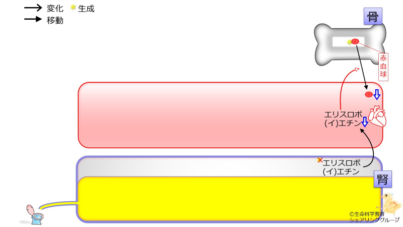 ファイル:03818.jpg