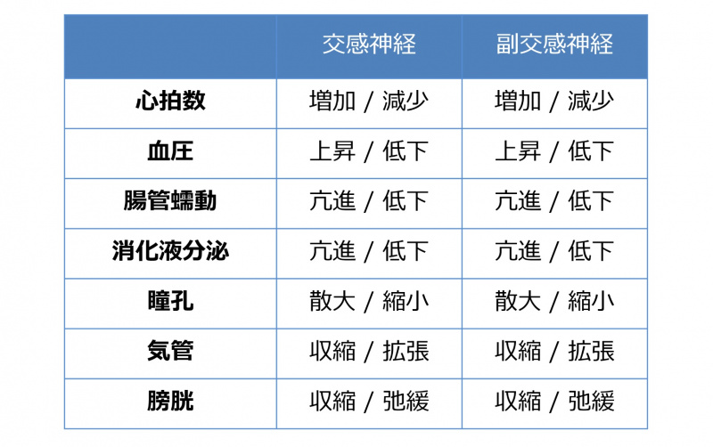 ファイル:04519-wb.jpg