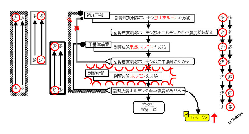 ファイル:00795.jpg