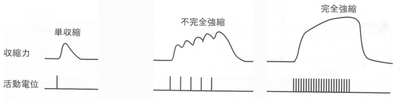 ファイル:00896.gif