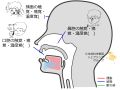 2025年2月18日 (火) 13:58時点における版のサムネイル