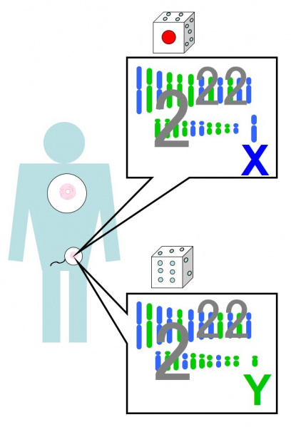 ファイル:01168-wb.jpg