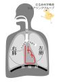 2025年3月5日 (水) 15:28時点における版のサムネイル
