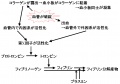 00512.jpg