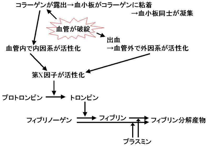 ファイル:00512.jpg