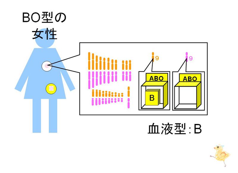ファイル:01206.jpg