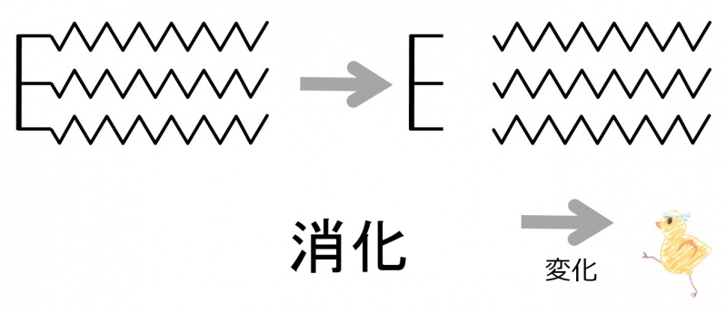 ファイル:02622.jpg