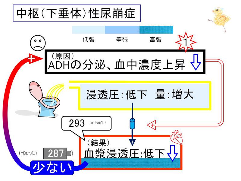 ファイル:02890.jpg