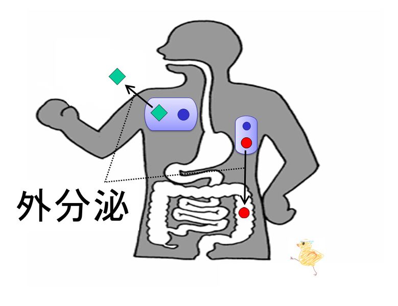 ファイル:03458.jpg