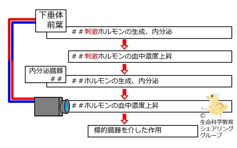 ファイル:04626.jpg