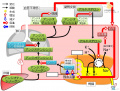 2018年6月7日 (木) 10:05時点における版のサムネイル