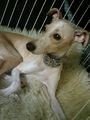 2013年2月25日 (月) 13:35時点における版のサムネイル