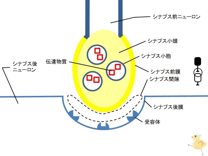 ファイル:02285.jpg