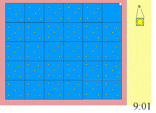 00294.jpg