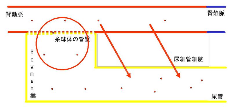 ファイル:00325.jpg