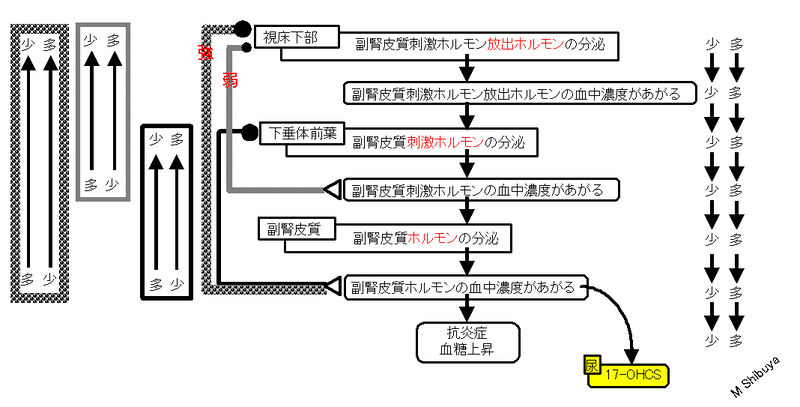 ファイル:00792.jpg