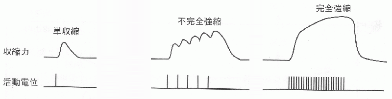 ファイル:00896-wb.gif