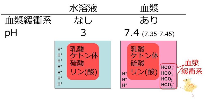 ファイル:04392.jpg