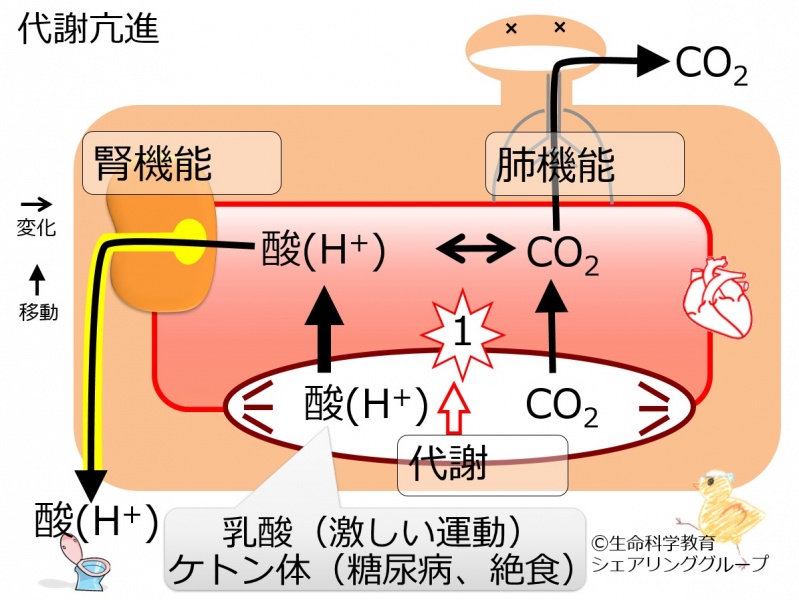 ファイル:04416-wb.jpg