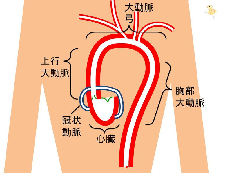 ファイル:03383.jpg