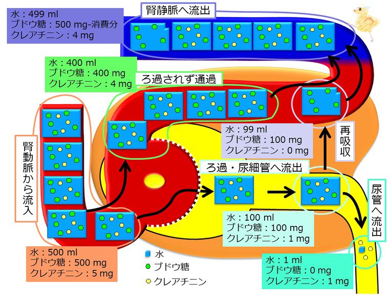 ファイル:04341.jpg