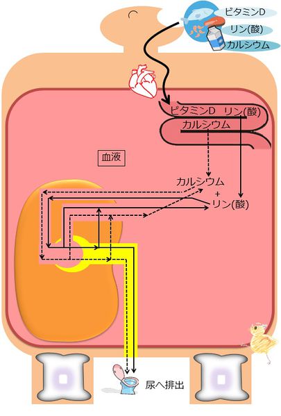 ファイル:04400.jpg
