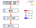 2017年4月27日 (木) 09:34時点における版のサムネイル