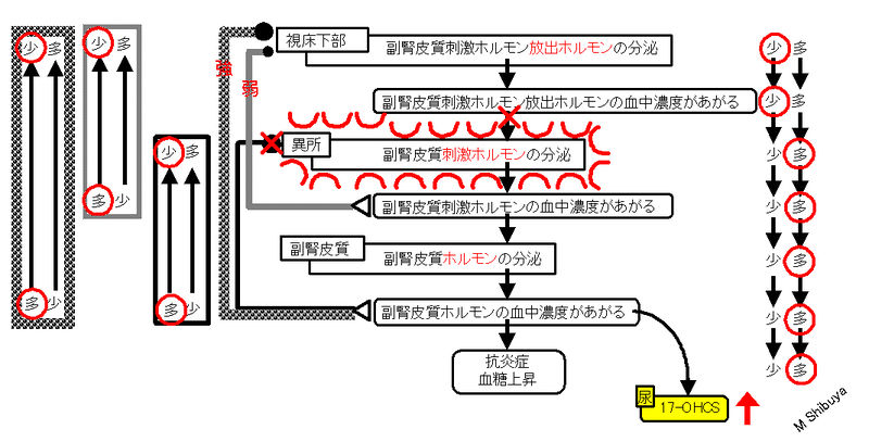 ファイル:00789.jpg