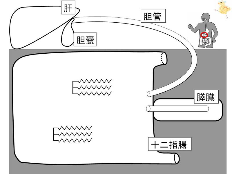 ファイル:01447.jpg