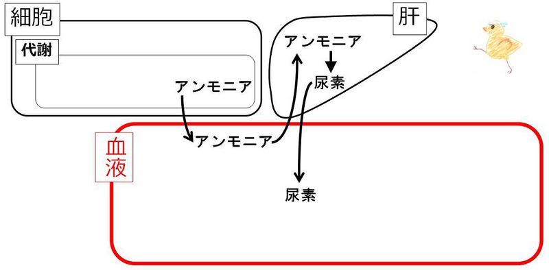 ファイル:01947.jpg