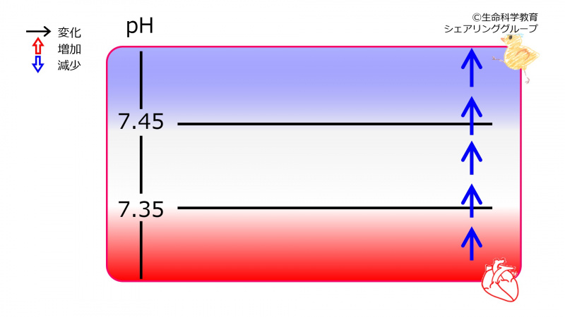 ファイル:00647-wb.jpg